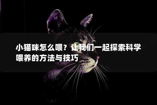 小猫咪怎么喂？让我们一起探索科学喂养的方法与技巧