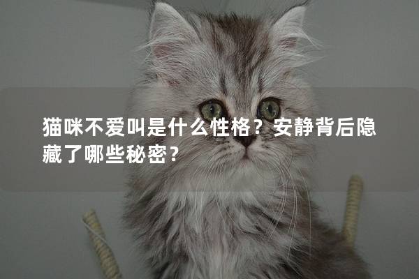 猫咪不爱叫是什么性格？安静背后隐藏了哪些秘密？