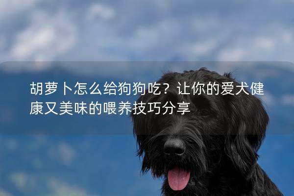 胡萝卜怎么给狗狗吃？让你的爱犬健康又美味的喂养技巧分享