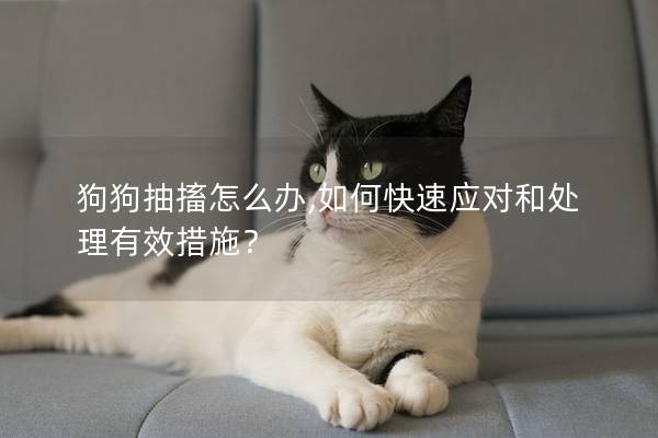 狗狗抽搐怎么办,如何快速应对和处理有效措施？