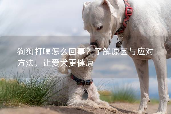 狗狗打嗝怎么回事？了解原因与应对方法，让爱犬更健康