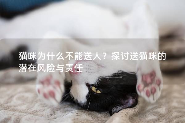 猫咪为什么不能送人？探讨送猫咪的潜在风险与责任