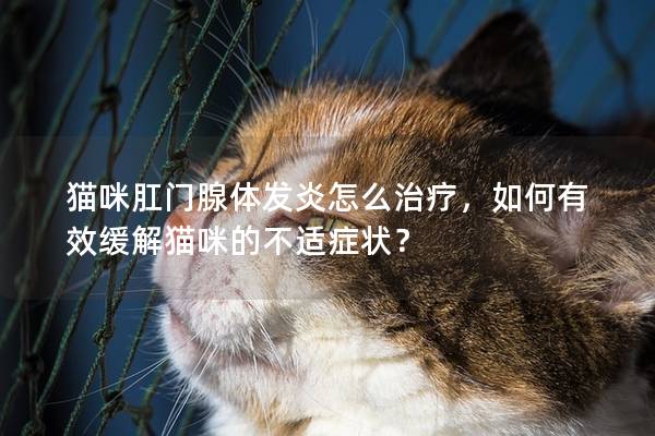 猫咪肛门腺体发炎怎么治疗，如何有效缓解猫咪的不适症状？