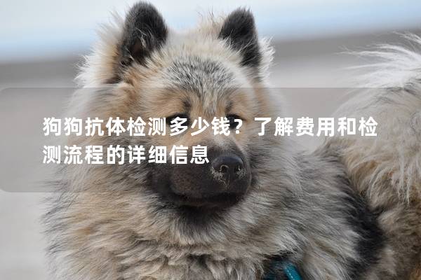 狗狗抗体检测多少钱？了解费用和检测流程的详细信息