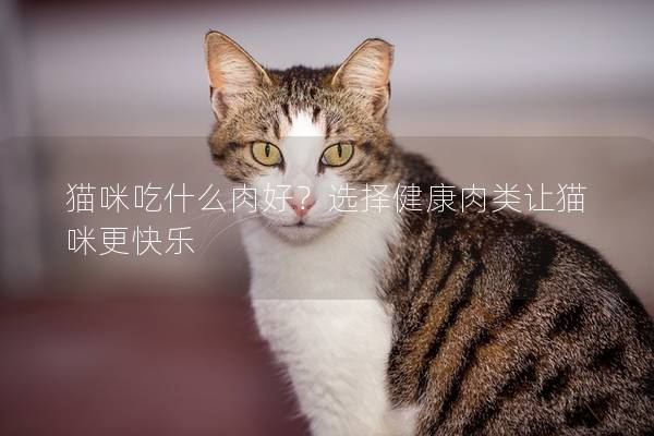 猫咪吃什么肉好？选择健康肉类让猫咪更快乐