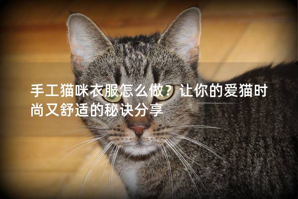 手工猫咪衣服怎么做？让你的爱猫时尚又舒适的秘诀分享