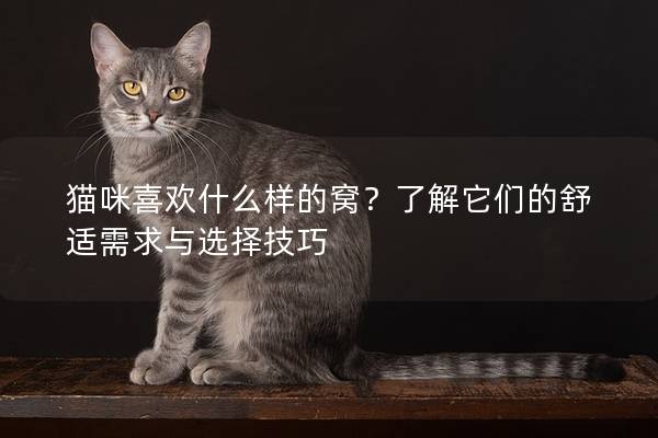 猫咪喜欢什么样的窝？了解它们的舒适需求与选择技巧