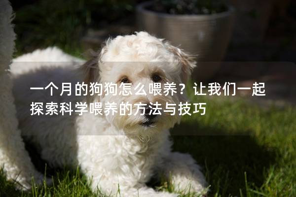 一个月的狗狗怎么喂养？让我们一起探索科学喂养的方法与技巧