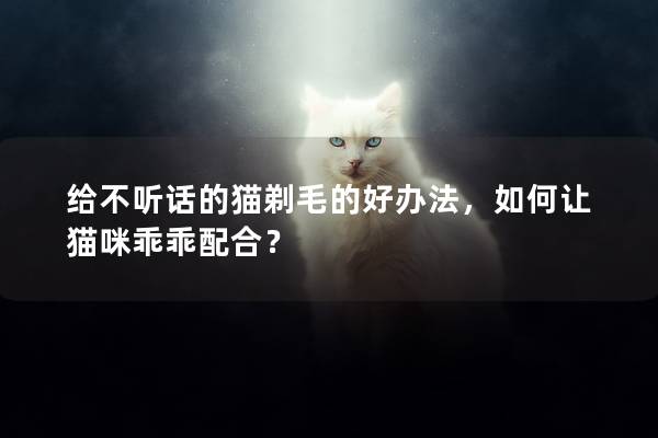 给不听话的猫剃毛的好办法，如何让猫咪乖乖配合？