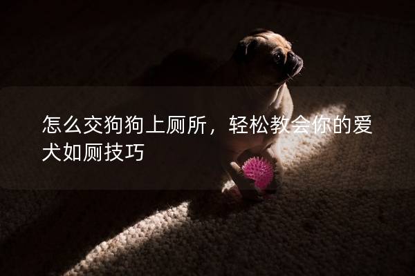 怎么交狗狗上厕所，轻松教会你的爱犬如厕技巧