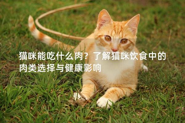 猫咪能吃什么肉？了解猫咪饮食中的肉类选择与健康影响