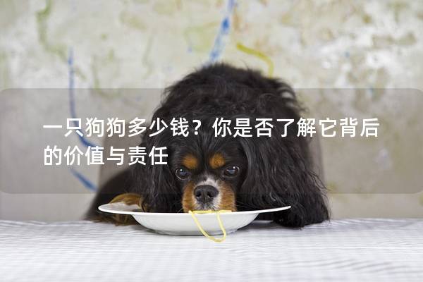 一只狗狗多少钱？你是否了解它背后的价值与责任