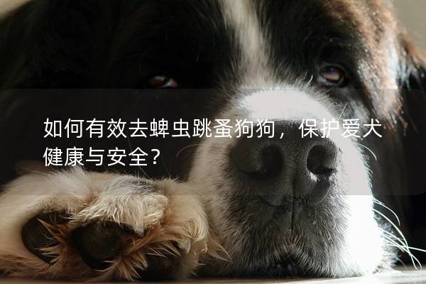 如何有效去蜱虫跳蚤狗狗，保护爱犬健康与安全？