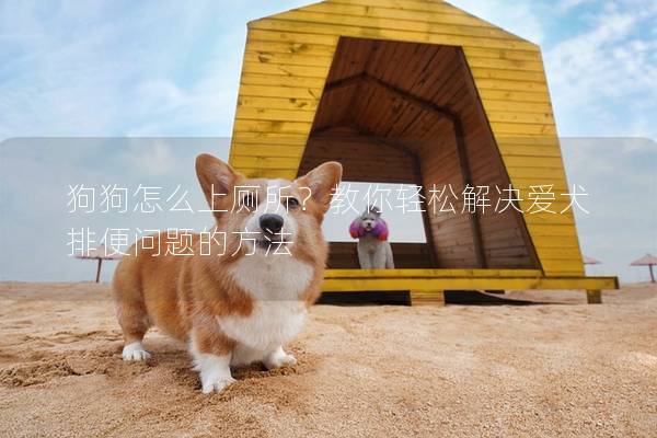 狗狗怎么上厕所？教你轻松解决爱犬排便问题的方法