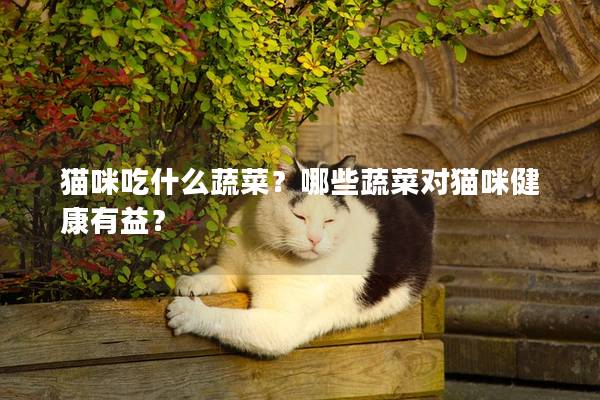 猫咪吃什么蔬菜？哪些蔬菜对猫咪健康有益？