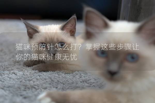 猫咪预防针怎么打？掌握这些步骤让你的猫咪健康无忧