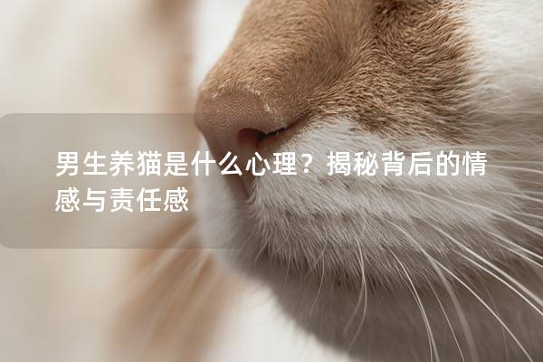 男生养猫是什么心理？揭秘背后的情感与责任感