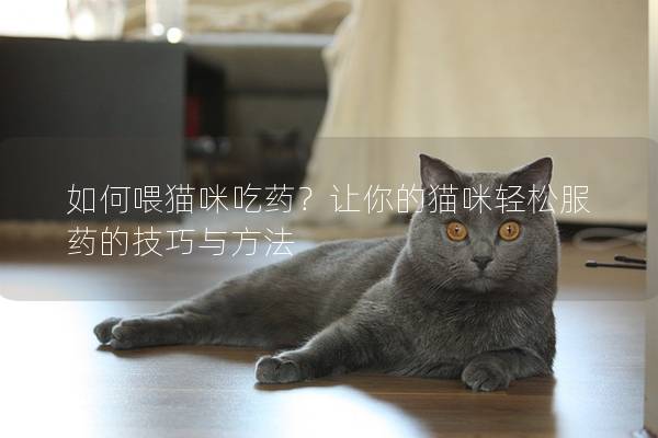 如何喂猫咪吃药？让你的猫咪轻松服药的技巧与方法