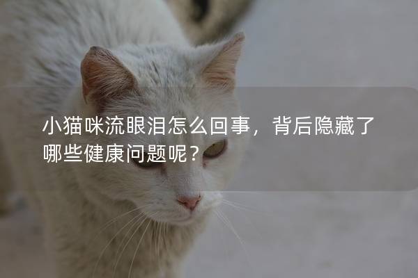 小猫咪流眼泪怎么回事，背后隐藏了哪些健康问题呢？