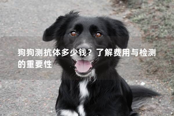 狗狗测抗体多少钱？了解费用与检测的重要性