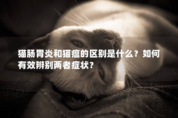 猫肠胃炎和猫瘟的区别是什么？如何有效辨别两者症状？