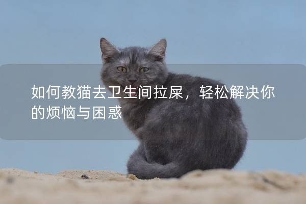 如何教猫去卫生间拉屎，轻松解决你的烦恼与困惑