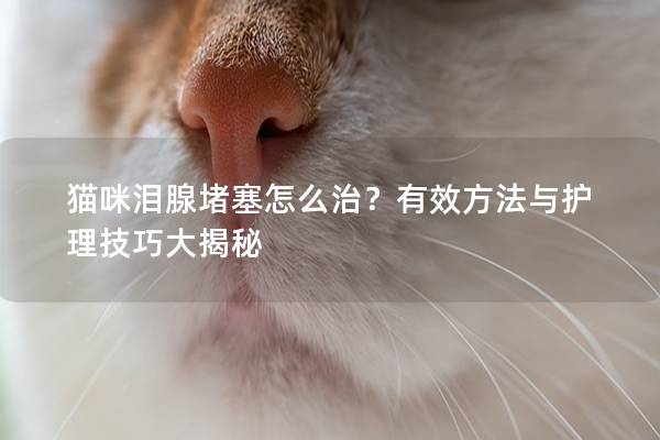 猫咪泪腺堵塞怎么治？有效方法与护理技巧大揭秘