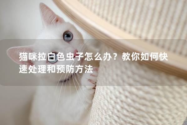 猫咪拉白色虫子怎么办？教你如何快速处理和预防方法