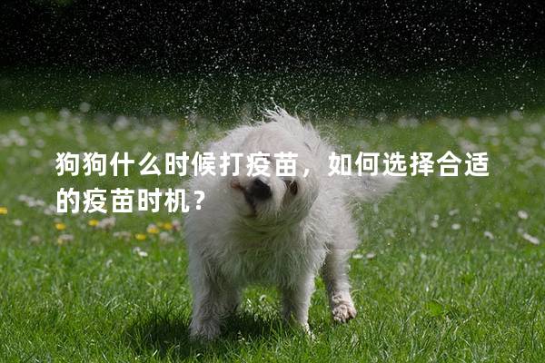 狗狗什么时候打疫苗，如何选择合适的疫苗时机？