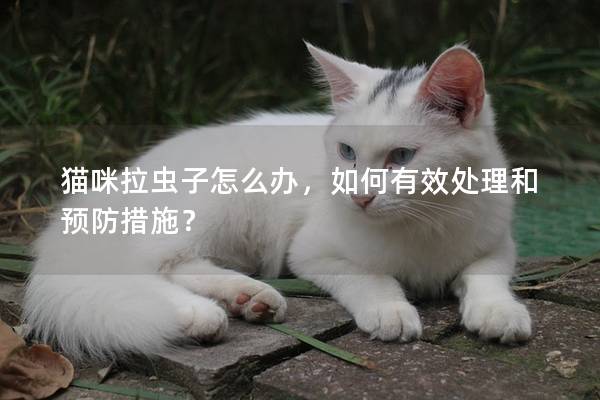 猫咪拉虫子怎么办，如何有效处理和预防措施？