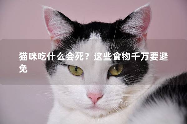 猫咪吃什么会死？这些食物千万要避免