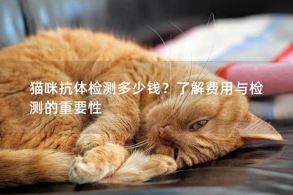 猫咪抗体检测多少钱？了解费用与检测的重要性