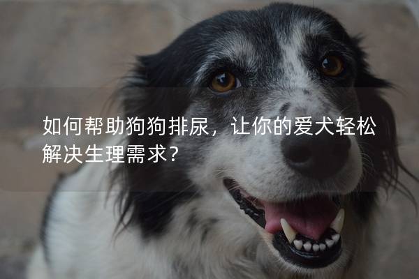 如何帮助狗狗排尿，让你的爱犬轻松解决生理需求？