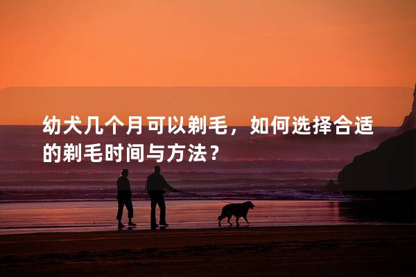 幼犬几个月可以剃毛，如何选择合适的剃毛时间与方法？