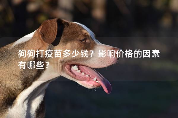 狗狗打疫苗多少钱？影响价格的因素有哪些？