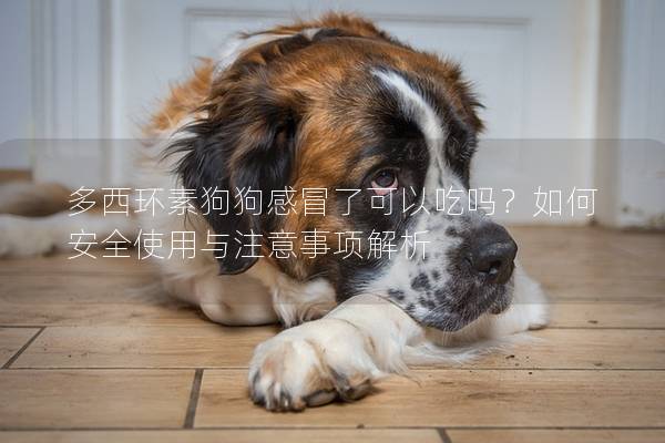 多西环素狗狗感冒了可以吃吗？如何安全使用与注意事项解析