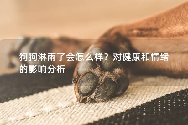 狗狗淋雨了会怎么样？对健康和情绪的影响分析