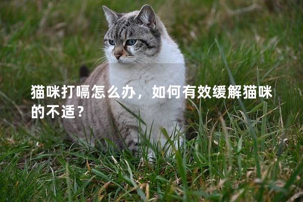 猫咪打嗝怎么办，如何有效缓解猫咪的不适？