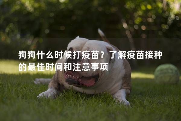 狗狗什么时候打疫苗？了解疫苗接种的最佳时间和注意事项