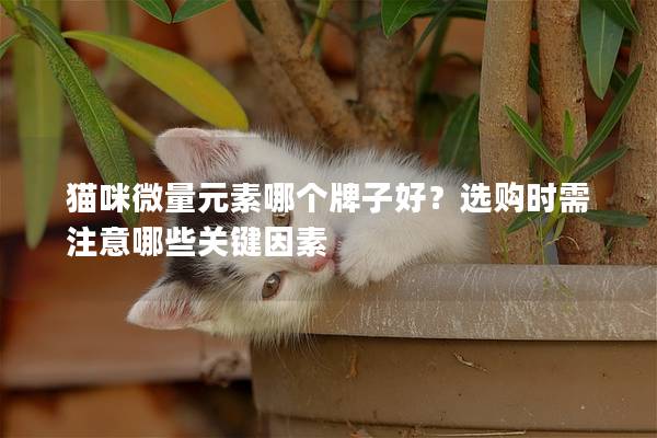 猫咪微量元素哪个牌子好？选购时需注意哪些关键因素