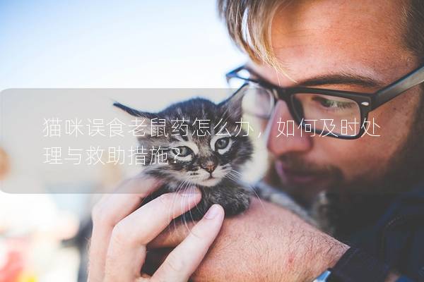 猫咪误食老鼠药怎么办，如何及时处理与救助措施？