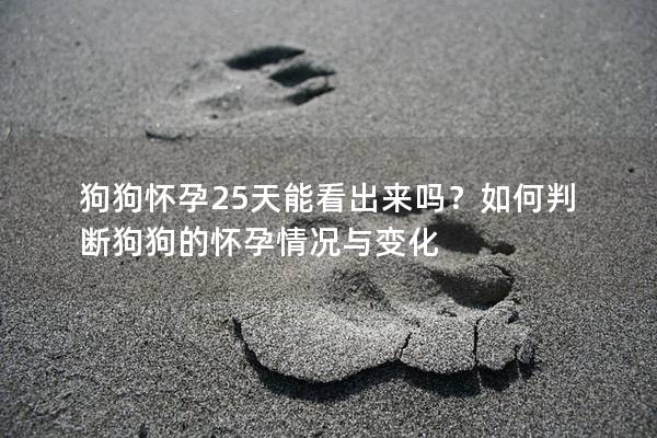 狗狗怀孕25天能看出来吗？如何判断狗狗的怀孕情况与变化