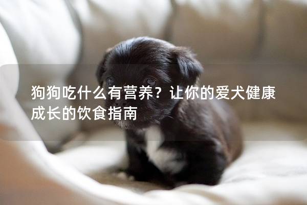 狗狗吃什么有营养？让你的爱犬健康成长的饮食指南