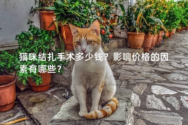 猫咪结扎手术多少钱？影响价格的因素有哪些？