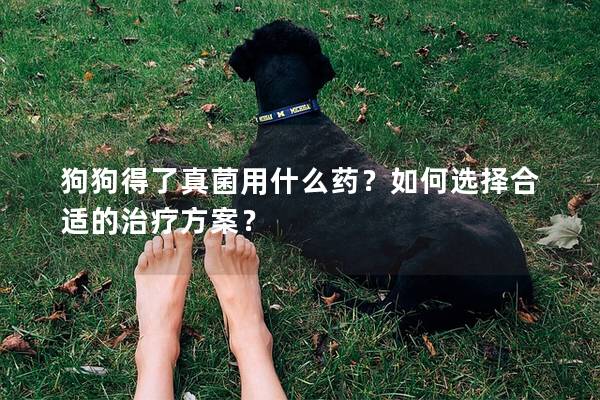 狗狗得了真菌用什么药？如何选择合适的治疗方案？