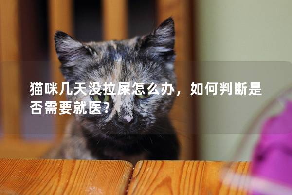 猫咪几天没拉屎怎么办，如何判断是否需要就医？