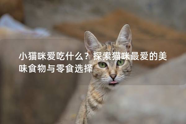 小猫咪爱吃什么？探索猫咪最爱的美味食物与零食选择