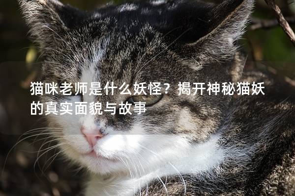 猫咪老师是什么妖怪？揭开神秘猫妖的真实面貌与故事