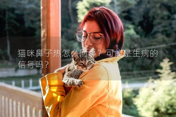 猫咪鼻子热怎么回事？可能是生病的信号吗？