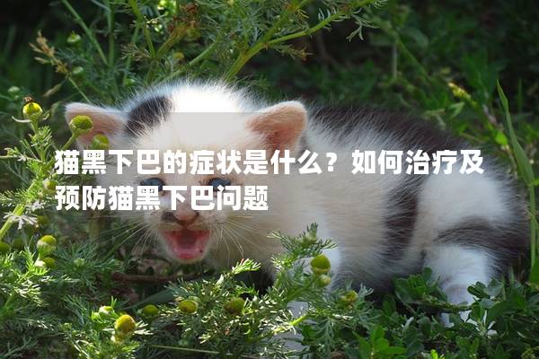 猫黑下巴的症状是什么？如何治疗及预防猫黑下巴问题